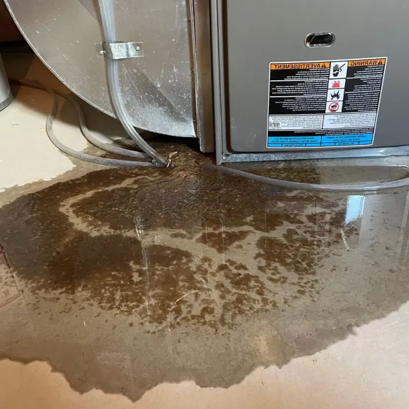 Pipe Burst and Leak Restoration in North Adams, MA